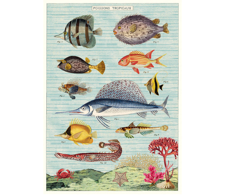 Motif de broderie gratuit hippocampe bleu