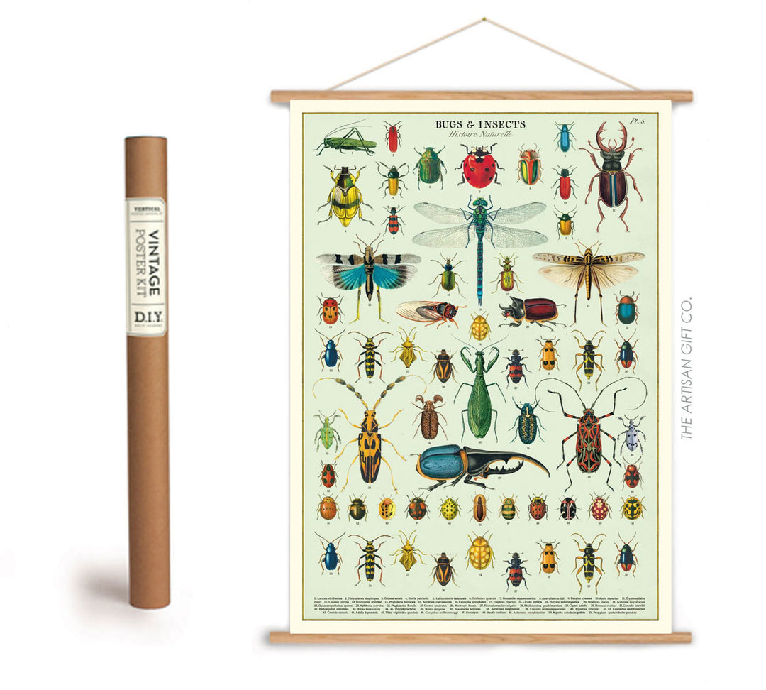 Teak Wood Hanger Frame Magnetic (High Quality)