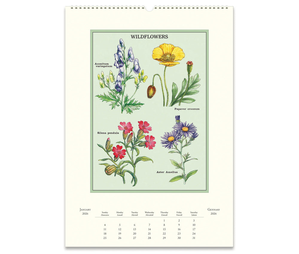 Cavallini & Co. Wall Calendar 2026 - Wildflowers Inside