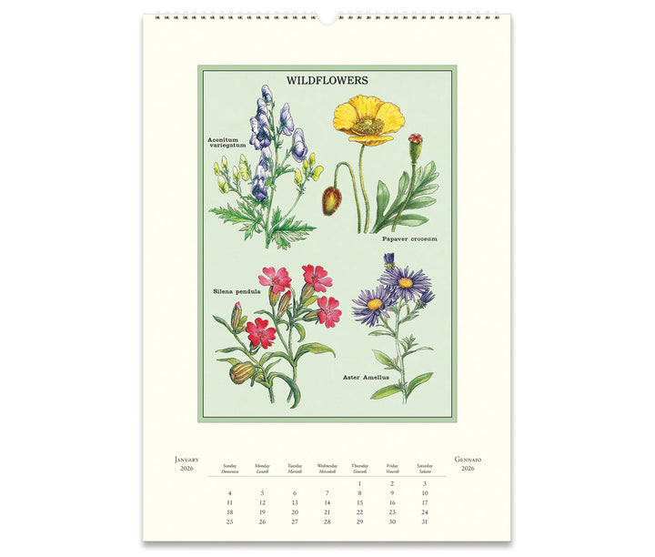 Cavallini & Co. Wall Calendar 2026 - Wildflowers Inside