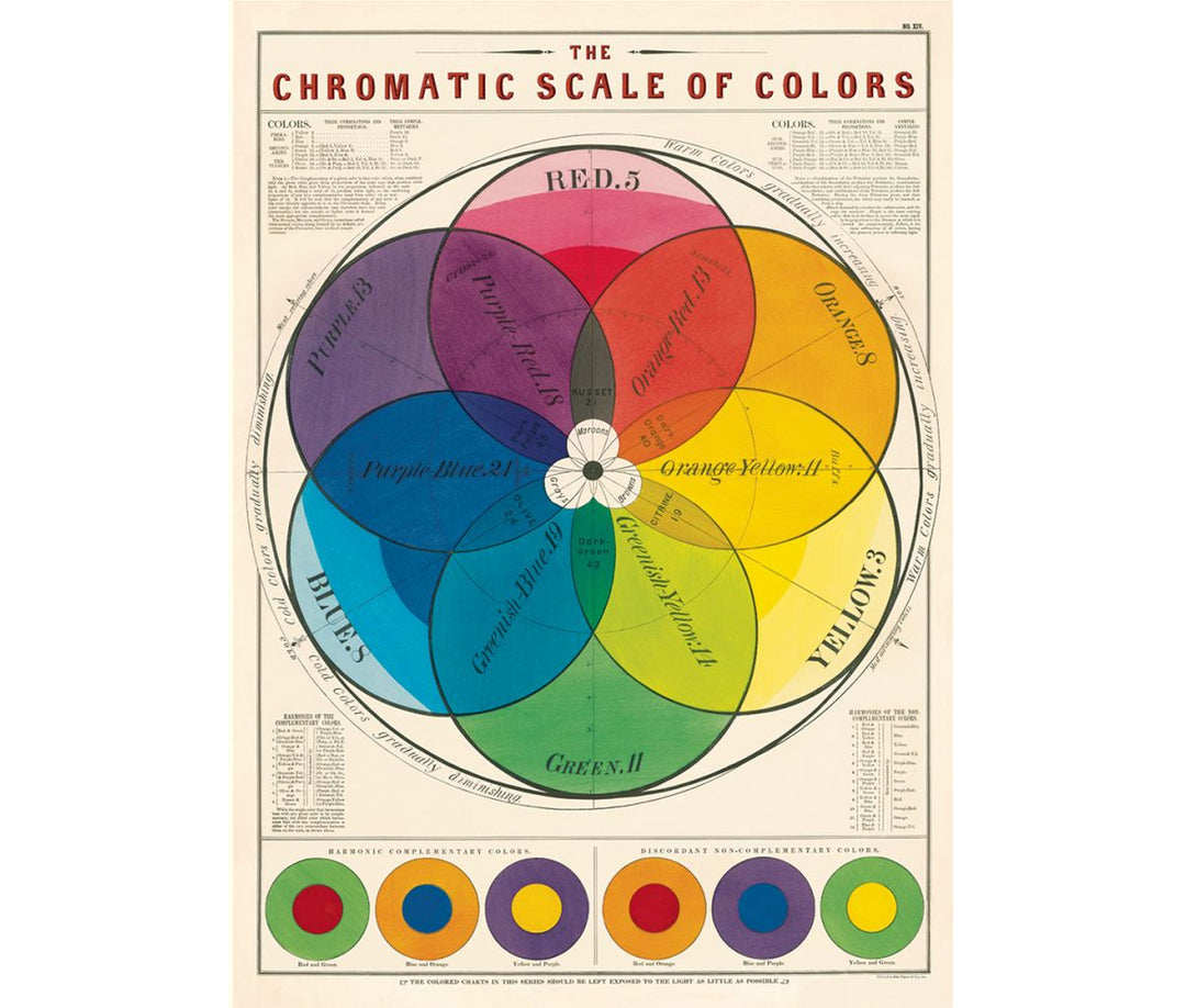 Cavallini & Co. Poster - Chromatic Scale Poster Vintage Wall Print