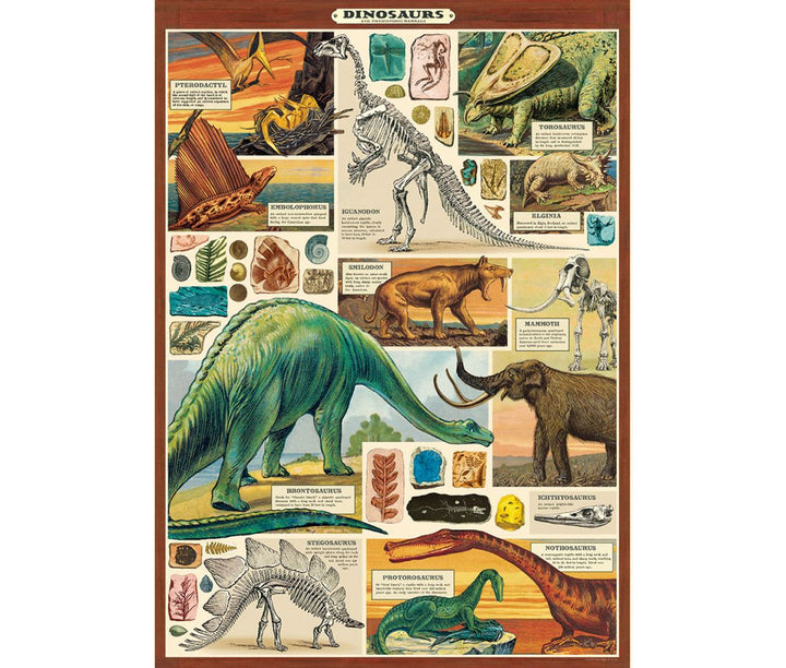 Vintage-style poster of dinosaurs with illustrations and text on a white background