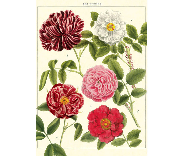 Cavallini & Co. Poster - Les Fleurs Vintage Wall Print