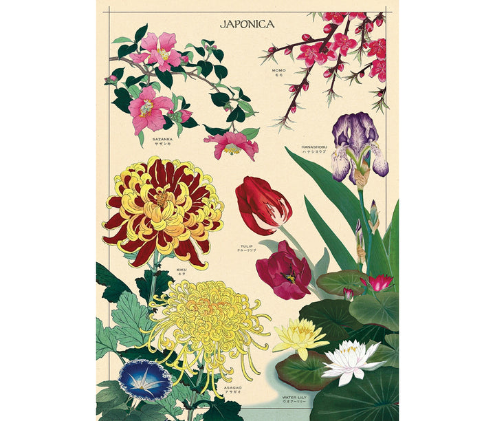 Cavallini & Co. Poster - Japonica Vintage Wall Print