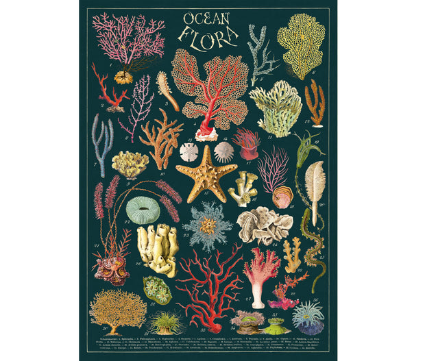 Cavallini & Co. Poster - Ocean Flora Vintage Wall Print