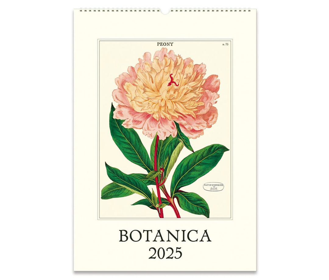 Cavallini & Co. Wall Calendar 2025 - Botanica Front