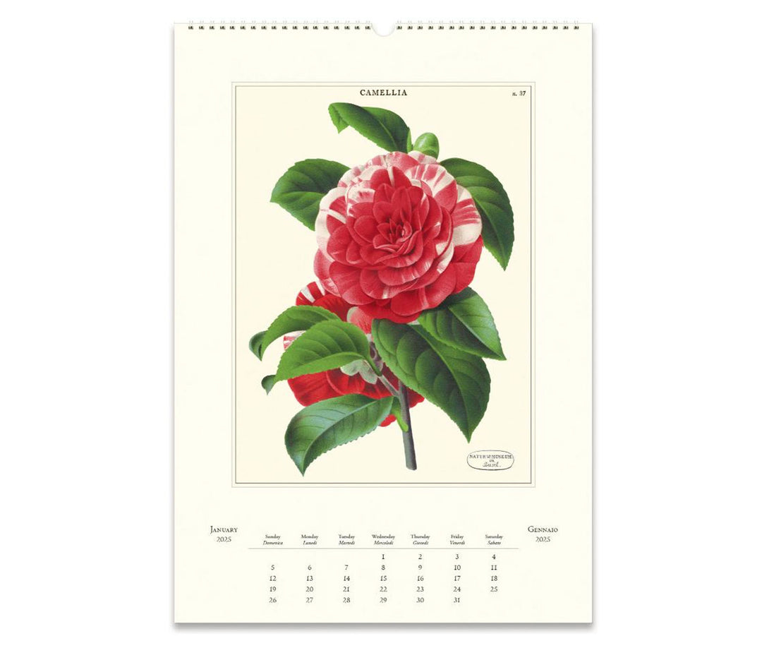 Cavallini & Co. Wall Calendar 2025 - Botanica Inside