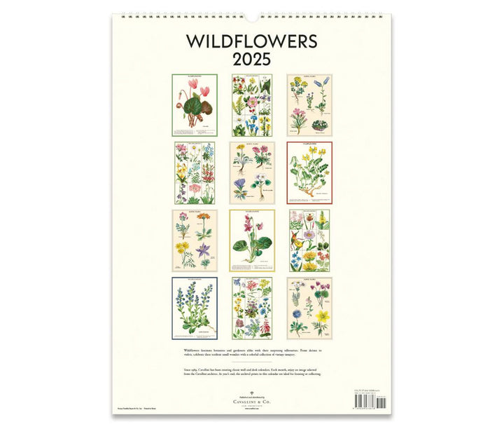 Cavallini & Co. Wall Calendar 2025 - Wildflowers Back