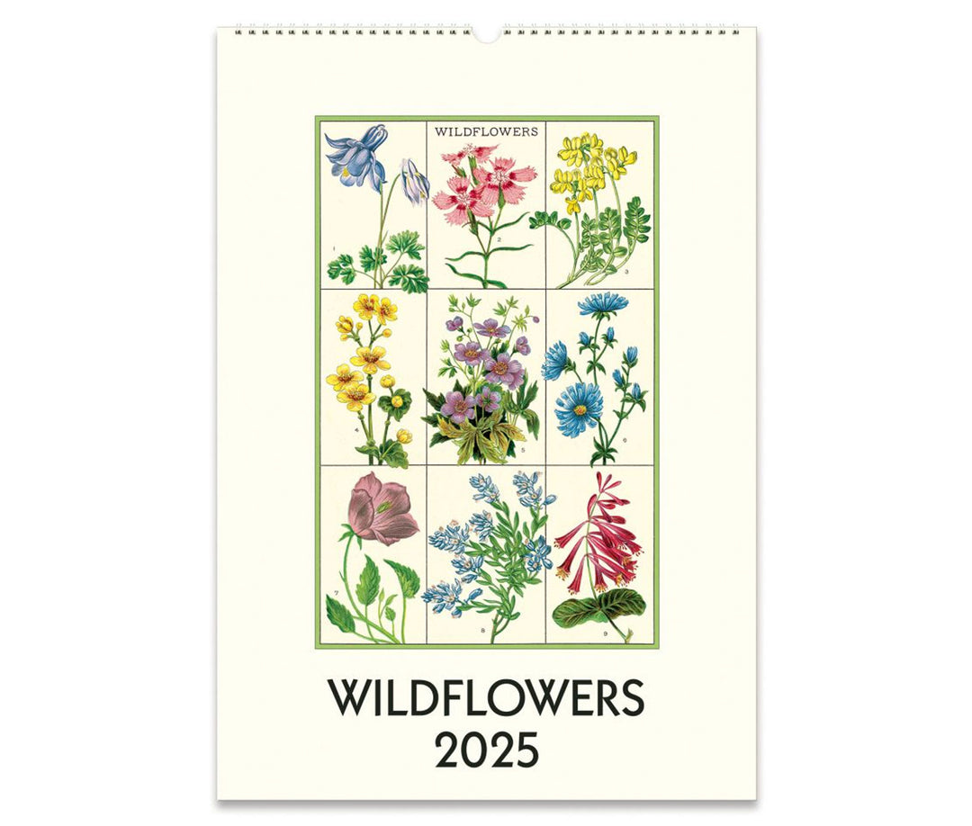 Cavallini & Co. Wall Calendar 2025 - Wildflowers Front