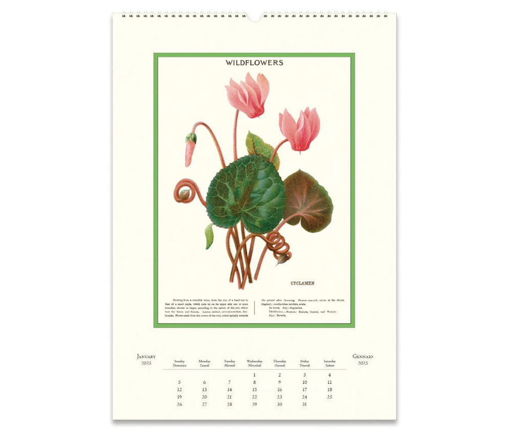 Cavallini & Co. Wall Calendar 2025 - Wildflowers Inside