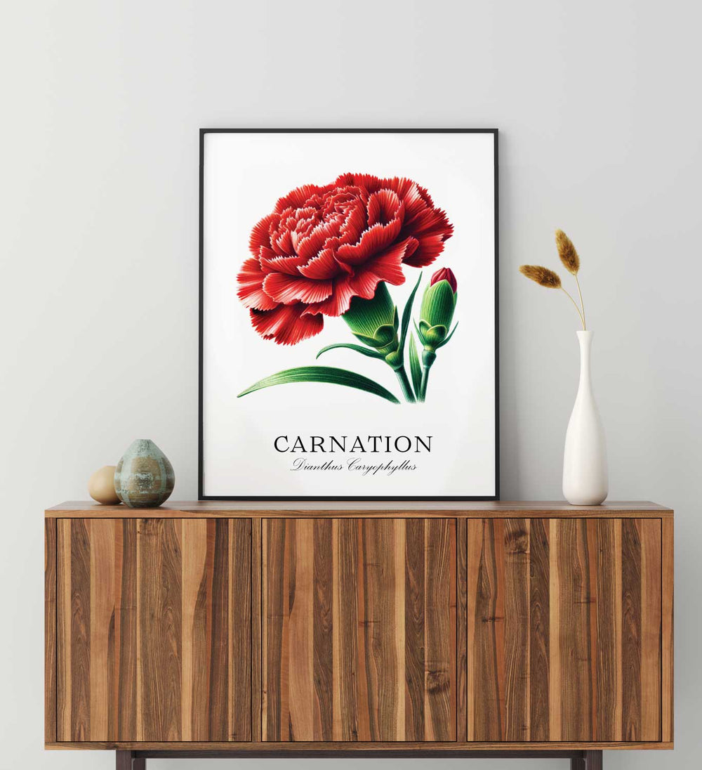 Carnation Flower Botany Hand Drawn Illustration Print Lifestyle