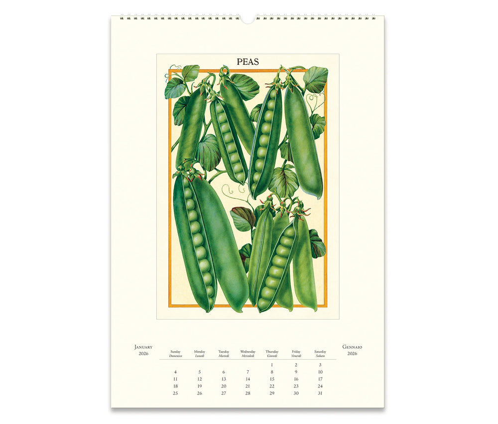 Cavallini & Co. Wall Calendar 2026 - Farmer's Market Inside