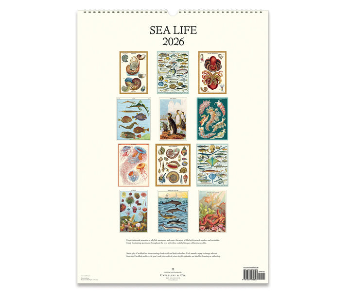 Cavallini & Co. Wall Calendar 2026 - Sea Life Back