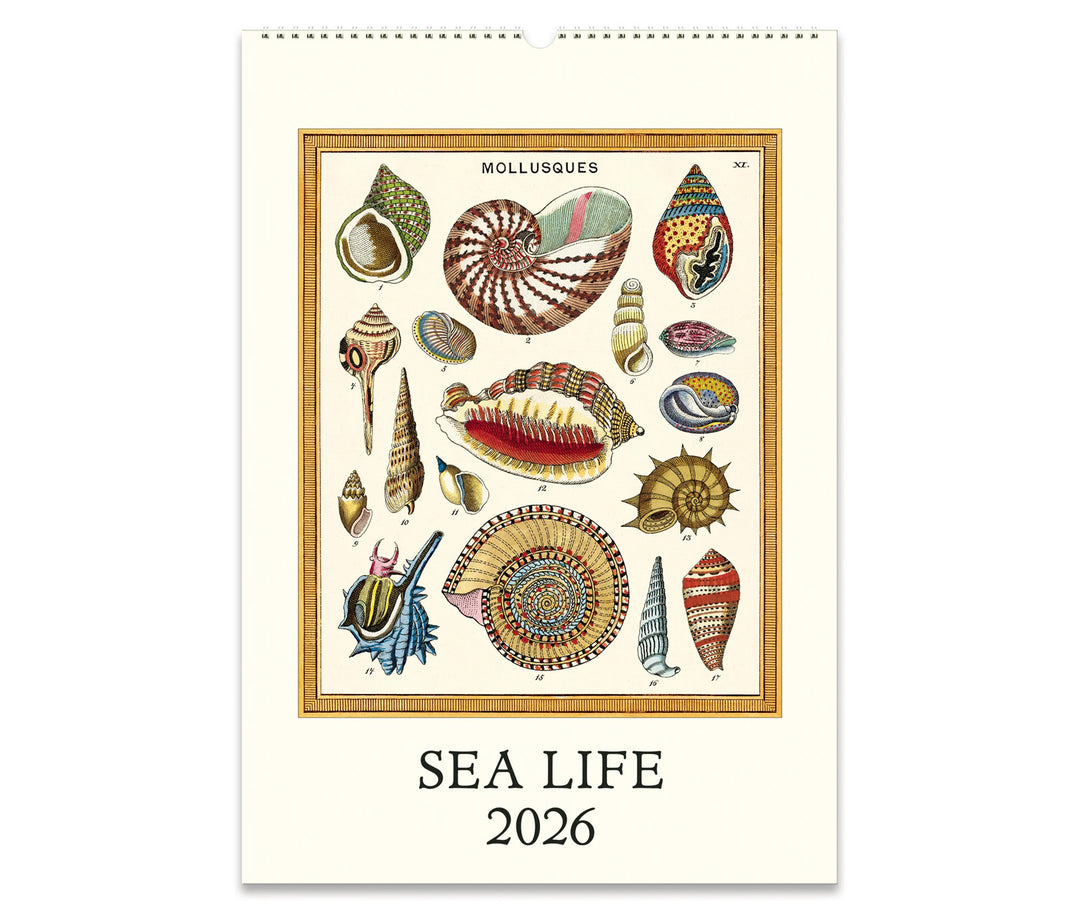 Cavallini & Co. Wall Calendar 2026 - Sea Life Front