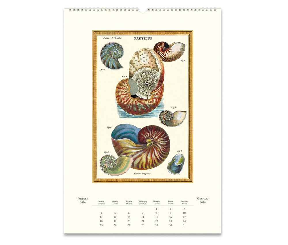 Cavallini & Co. Wall Calendar 2026 - Sea Life Inside