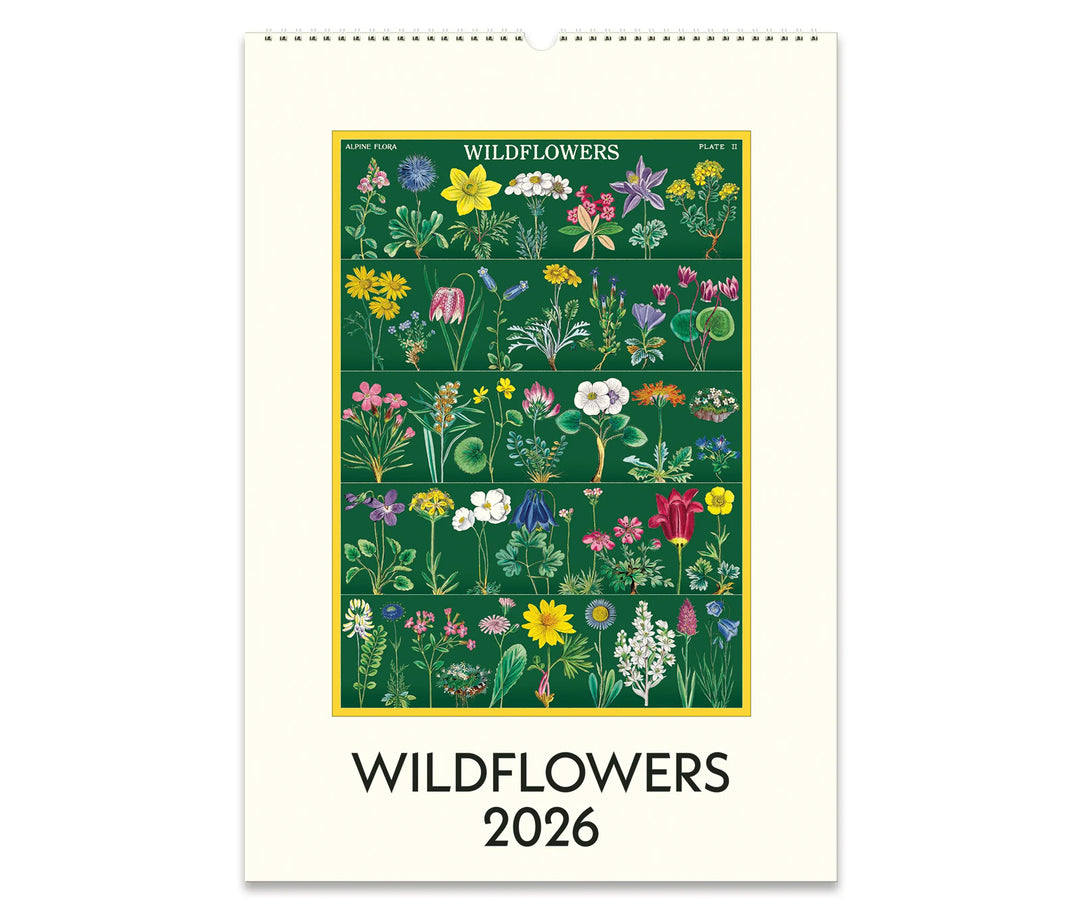 Cavallini & Co. Wall Calendar 2026 - Wildflowers Front