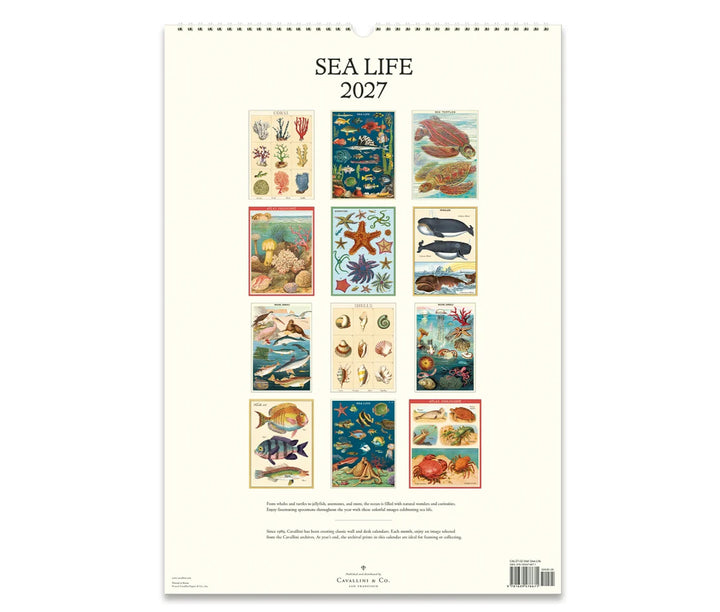 Cavallini Sea Life 2027 Calendar Back