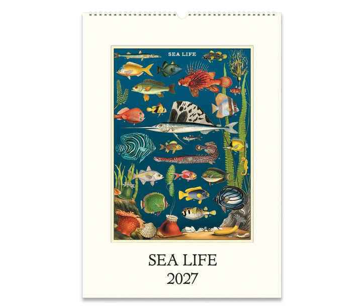 Cavallini Sea Life 2027 Calendar Front