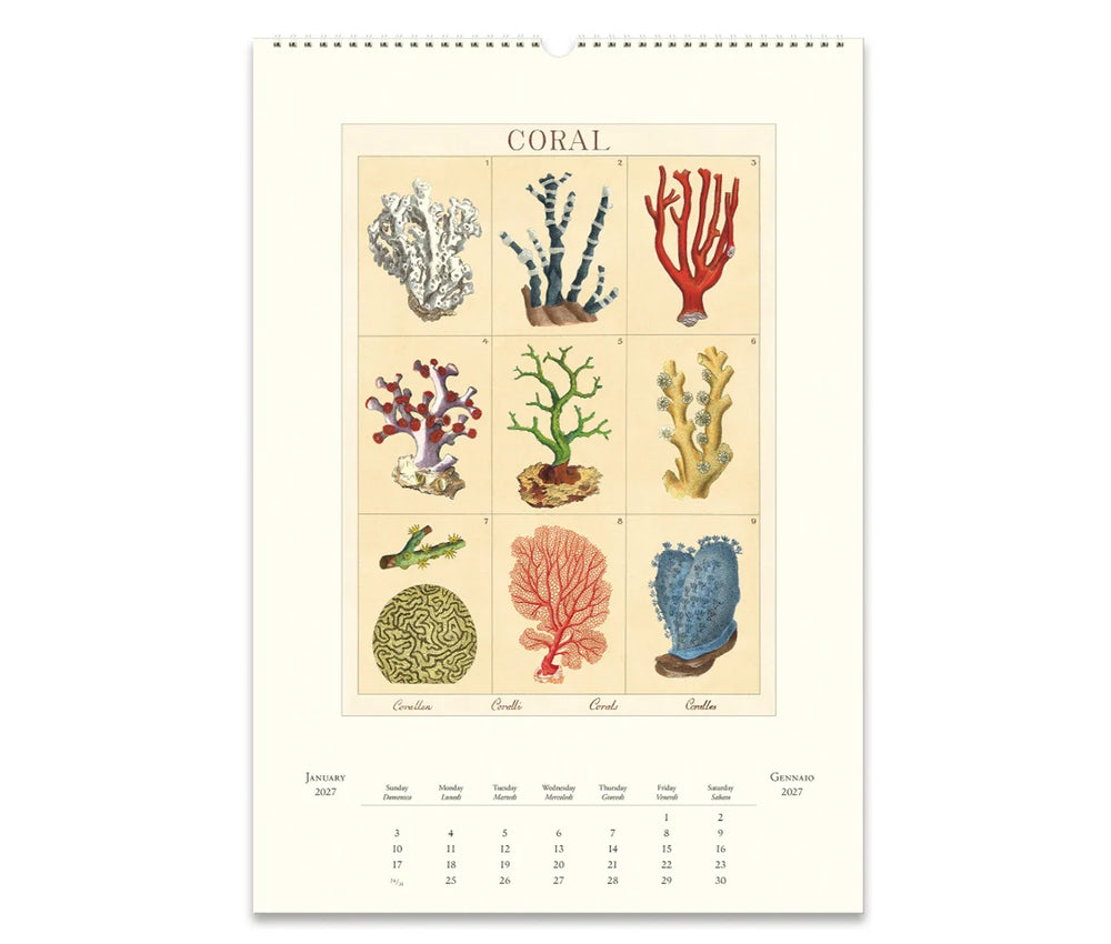 Cavallini Sea Life 2027 Calendar Inside