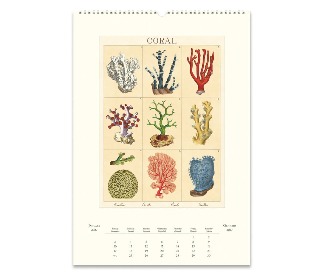 Cavallini Sea Life 2027 Calendar Inside