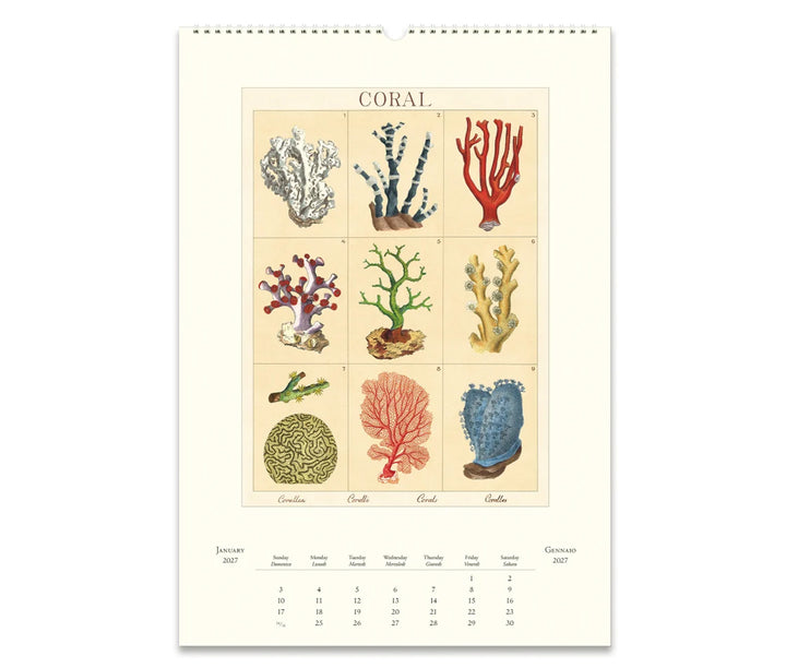 Cavallini Sea Life 2027 Calendar Inside