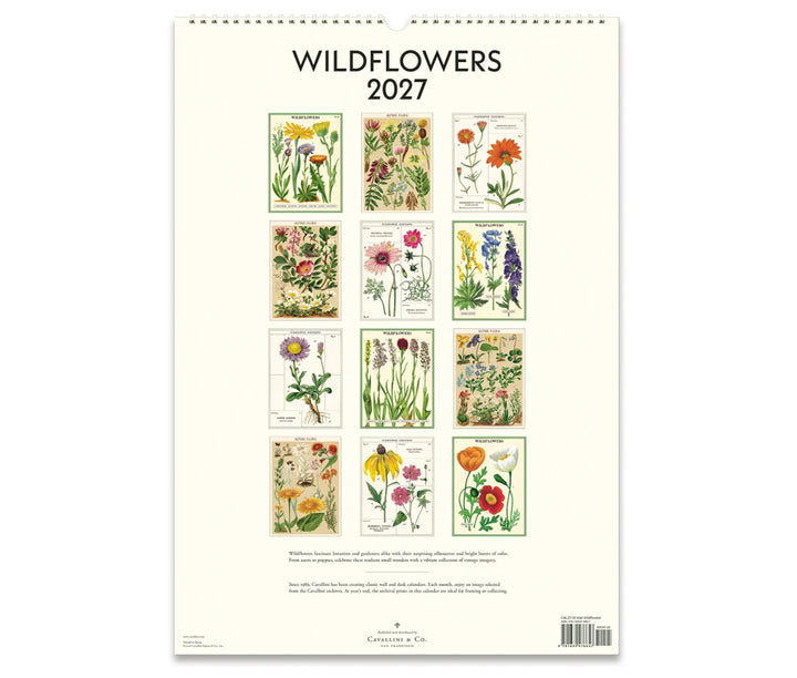 Back of Cavallini Wildflowers 2027 wall calendar showing the 12 botanical illustrations