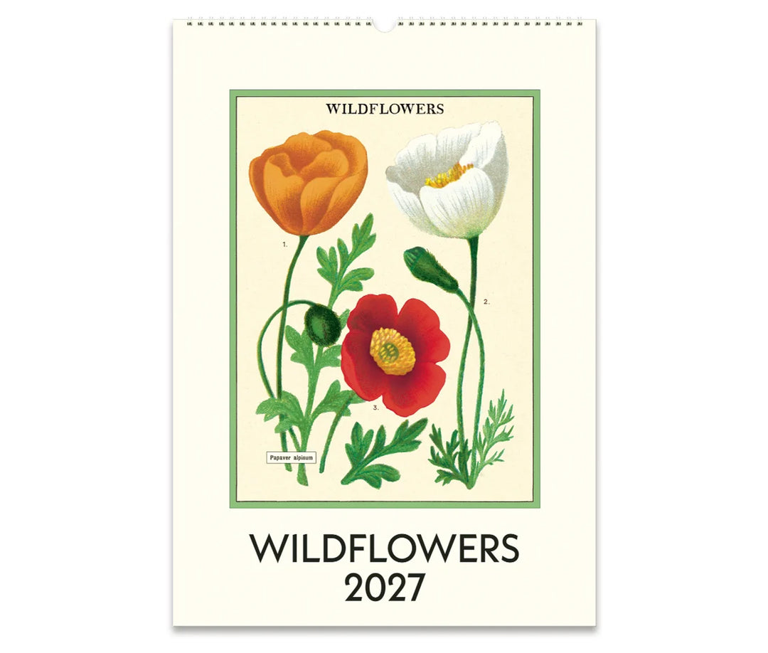 Front cover of Cavallini Wildflowers 2027 wall calendar with vintage poppy illustrations