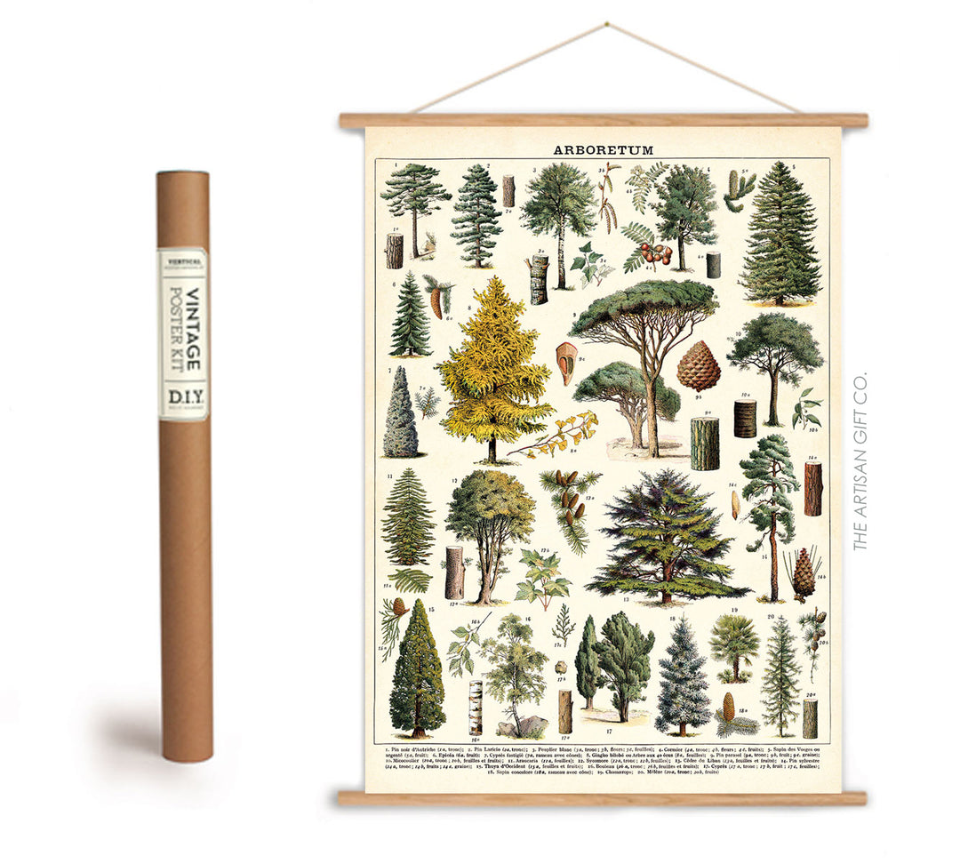 Cavallini & Co. Poster - Arboretum Vintage Wall Print with framing kit