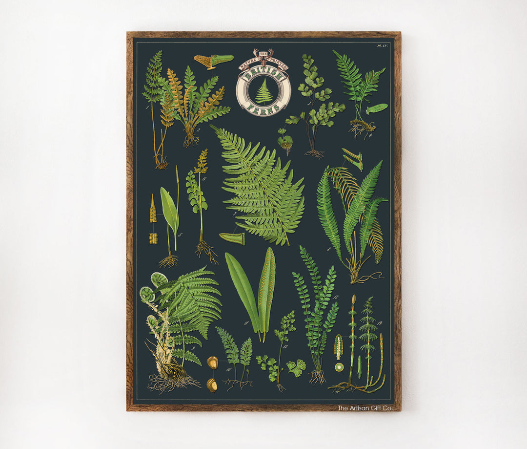 Cavallini & Co. Poster - British Ferns Vintage Wall Print Lifestyle