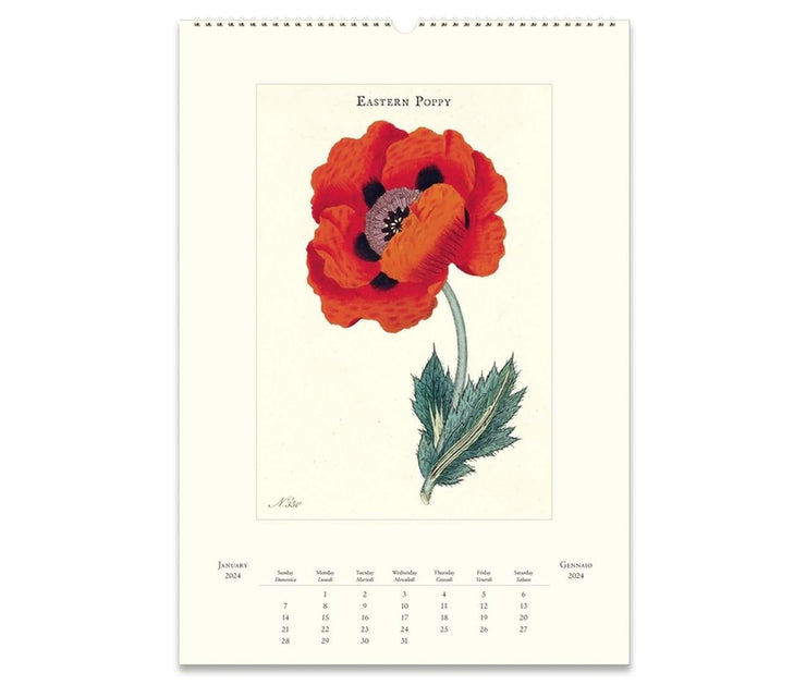 Cavallini & Co. Wall Calendar 2024 - Botanica Inside