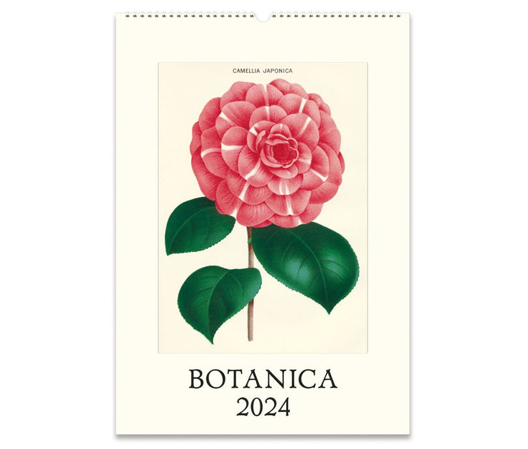 Cavallini & Co. Wall Calendar 2024 - Botanica