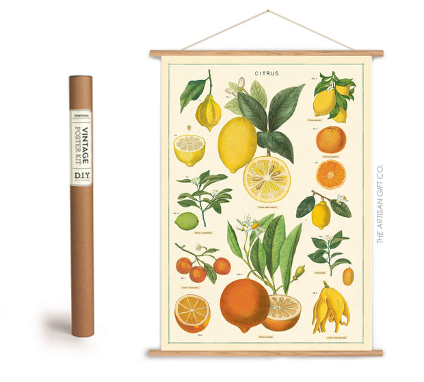Cavallini & Co. Poster - Citrus Vintage Wall Print Framing Kit