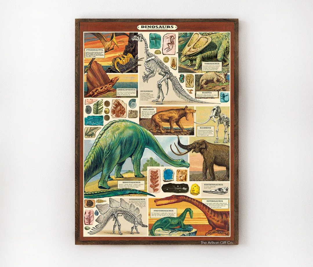 Framed poster with illustrations of dinosaurs on a white background