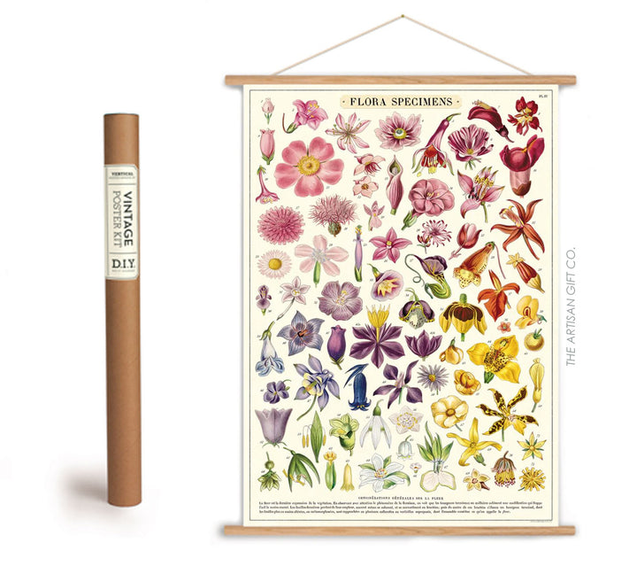 Floral poster with a wooden frame and cylindrical packaging on a white background
