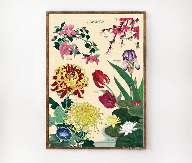 Cavallini & Co. Poster - Japonica Vintage Wall Print Framed