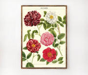 Cavallini & Co. Poster - Les Fleurs Vintage Wall Print Framed