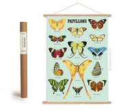 Cavallini & Co. Poster - Papillons Vintage Wall Print Framing Kit