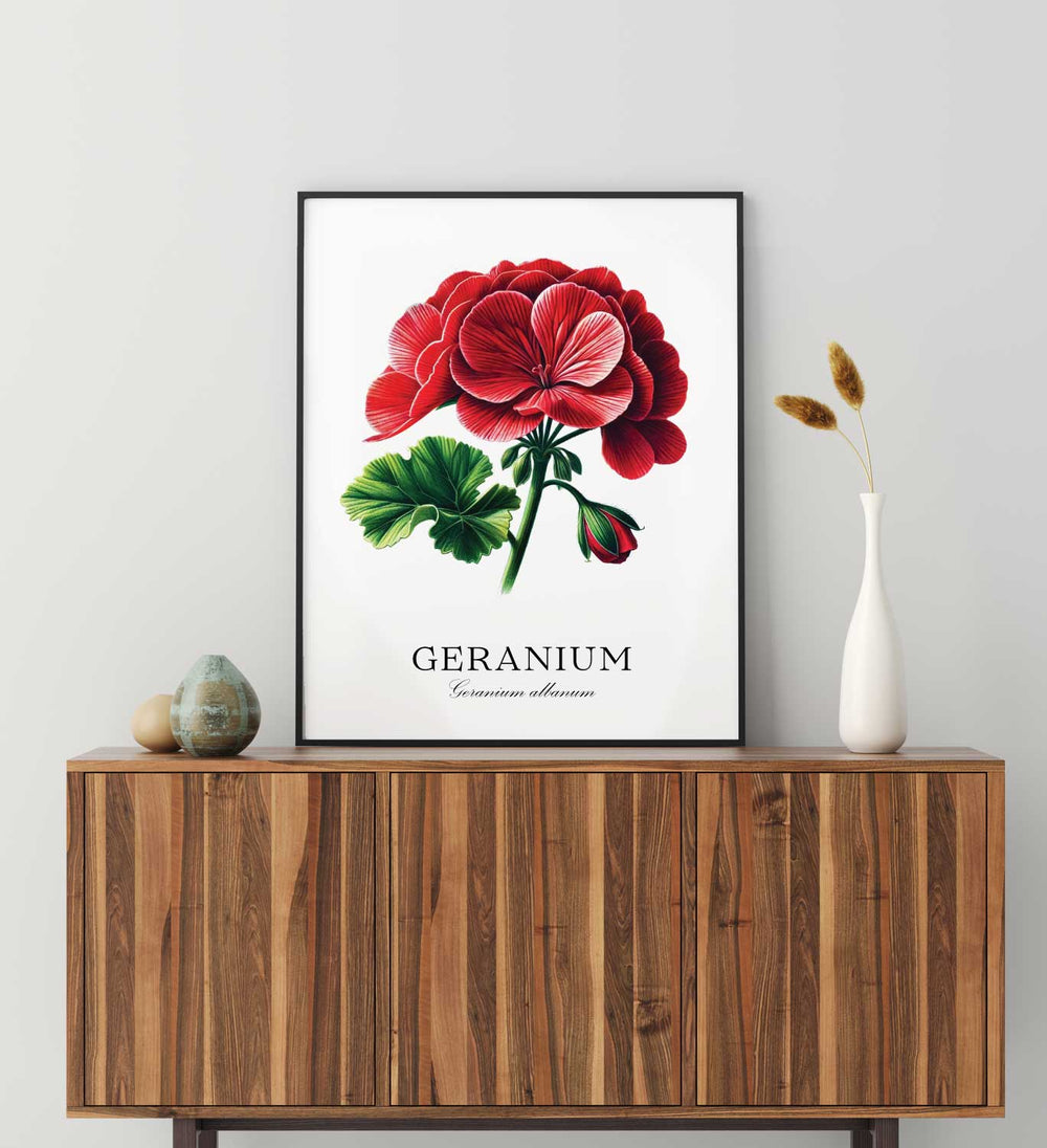 Geranium Flower Botany Hand Drawn Illustration Print Lifestyle