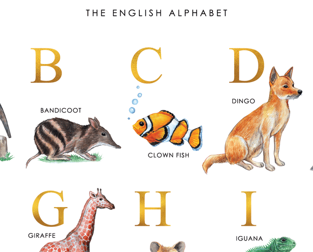 Animal Alphabet Chart English A2 Close Up