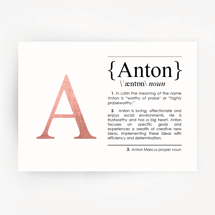 Name Definition Art Rose Gold Foil Print ANTON