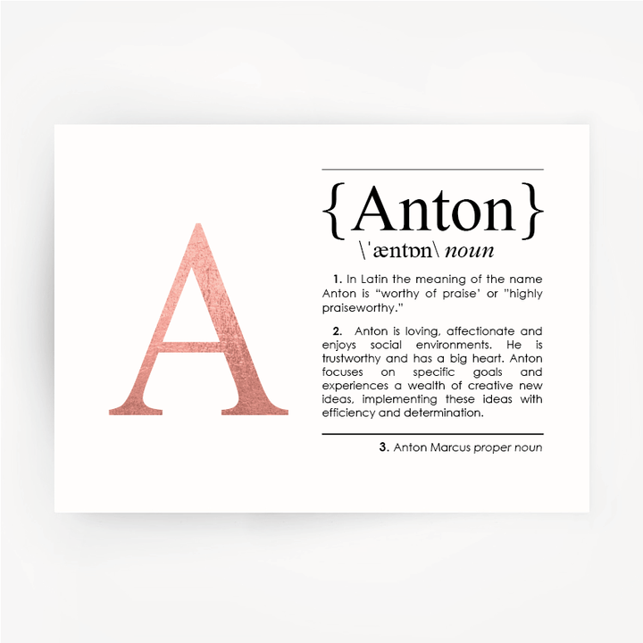 Name Definition Art Rose Gold Foil Print ANTON