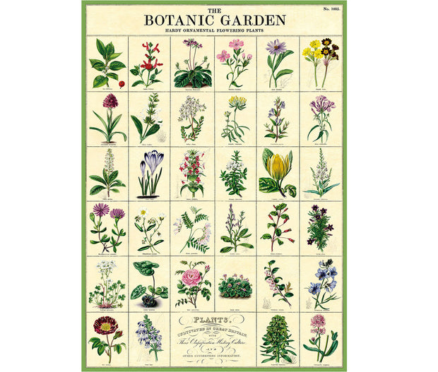 Cavallini Botanic Garden Print