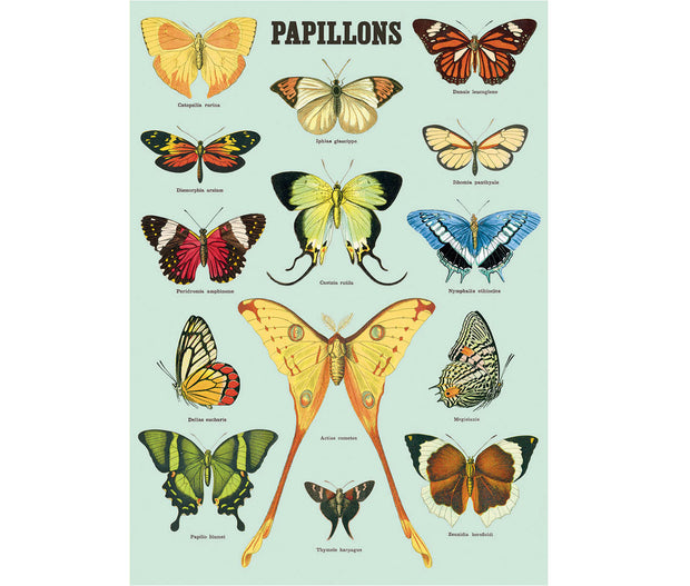 Cavallini Papillons Print