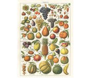 Cavallini & Co. Poster - Fruit Vintage Wall Print