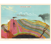 Cavallini Geological Chart Print