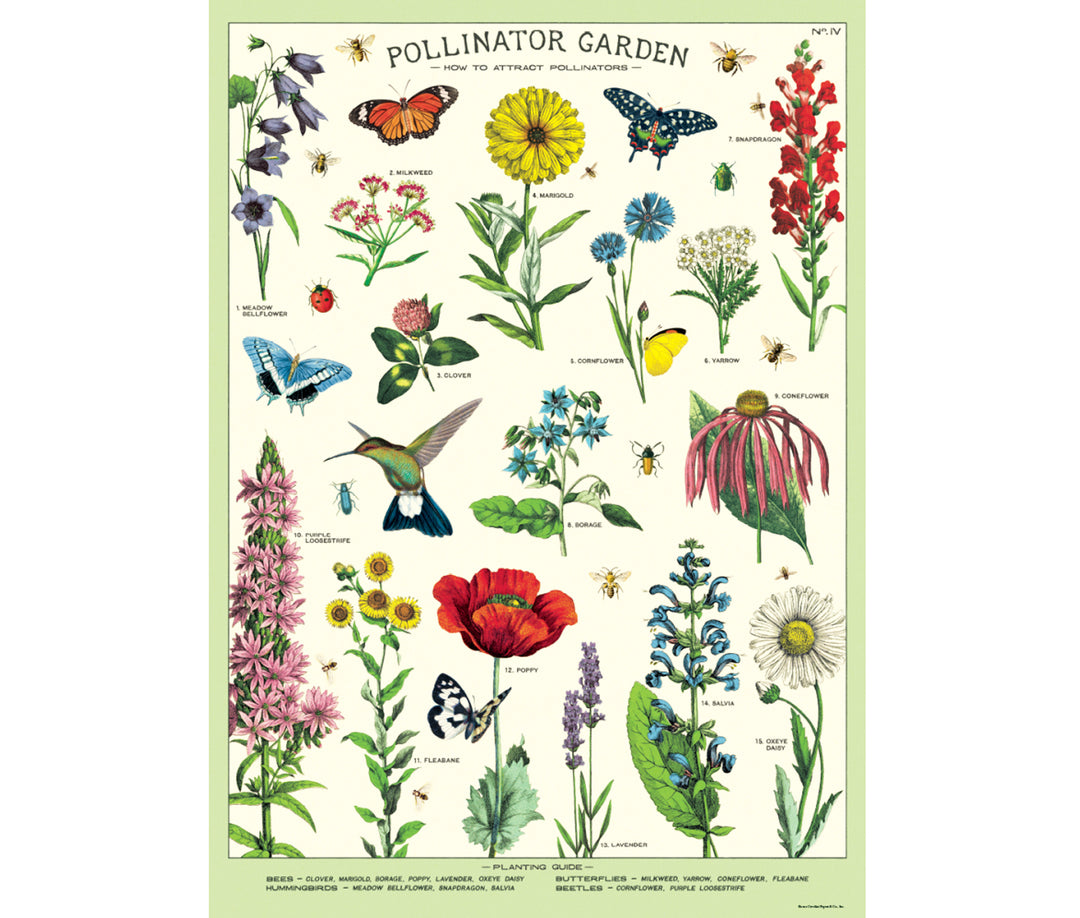 Cavallini & Co. Poster - Pollinator Garden Vintage Wall Print – The ...