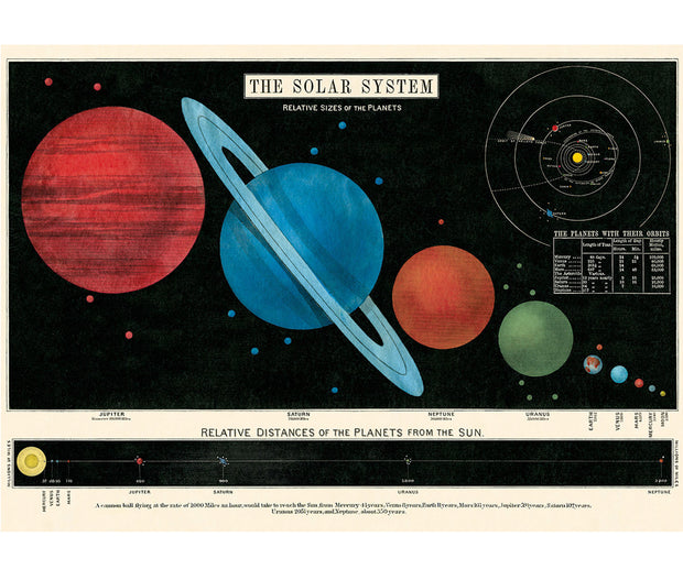 Cavallini Solar System Print
