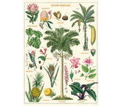 Cavallini Tropical Plants Print