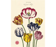 Cavallini Tulips Print
