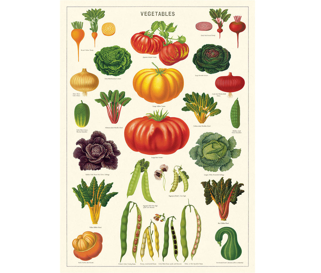 Cavallini Vegetable Garden Print